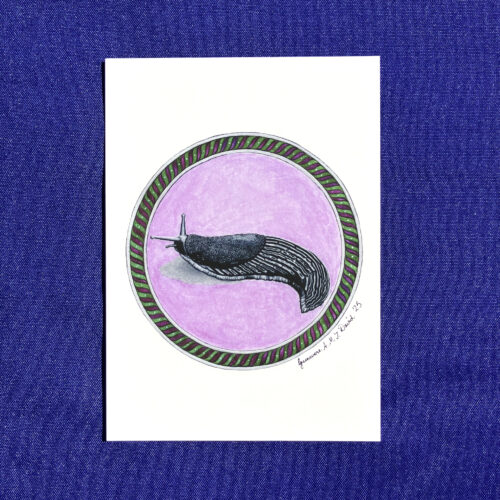 European Black Slug