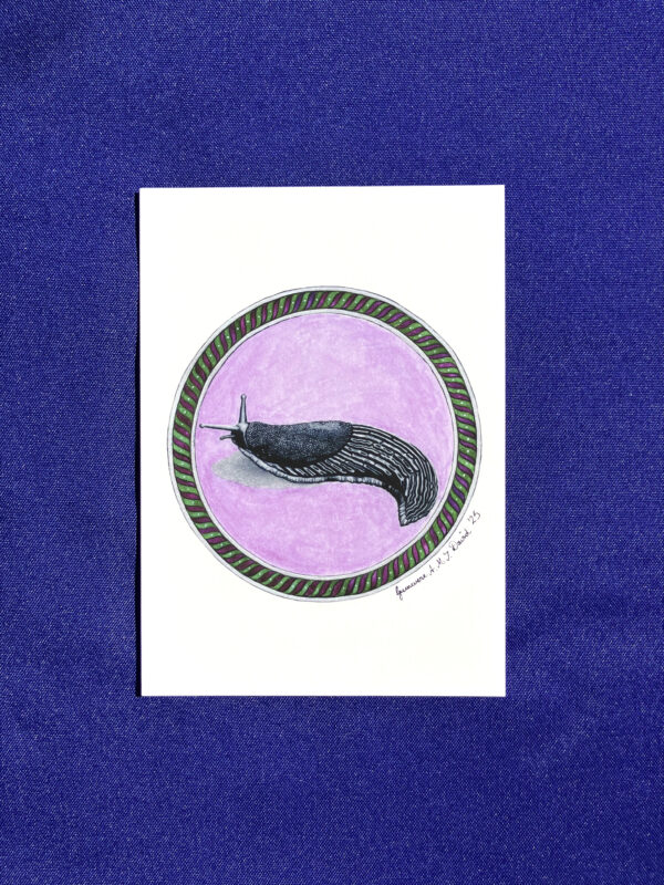 IMG_4595 European Black Slug