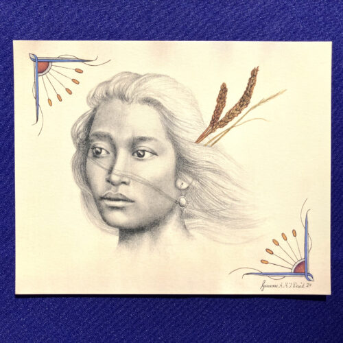 Sketch Portrait with Winter Grasses