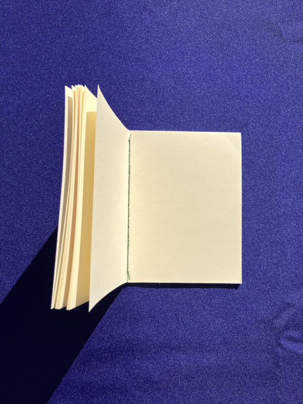 IMG_5877 Sprig of Thyme Pocket Notebook