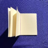 Blackberry Pocket Notebook